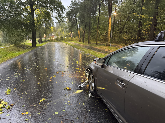 En bilist på vei til jobb var tross alt heldig da et tre veltet over veien rett foran bilen.