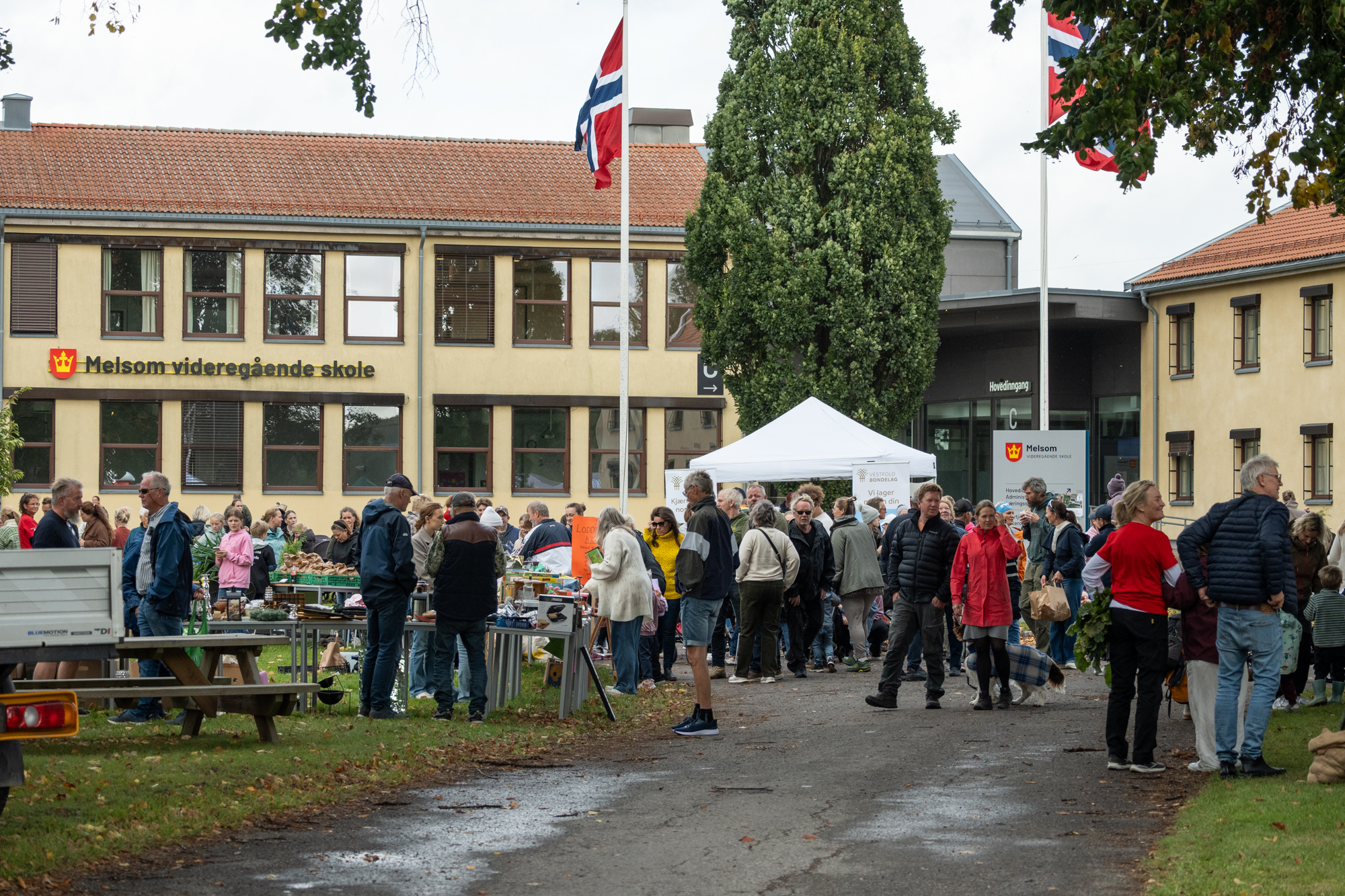 Mange mennesker ute, foran skolebygning.