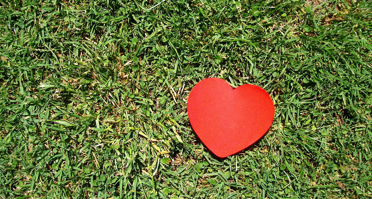 Et rødt hjerte i gresset.