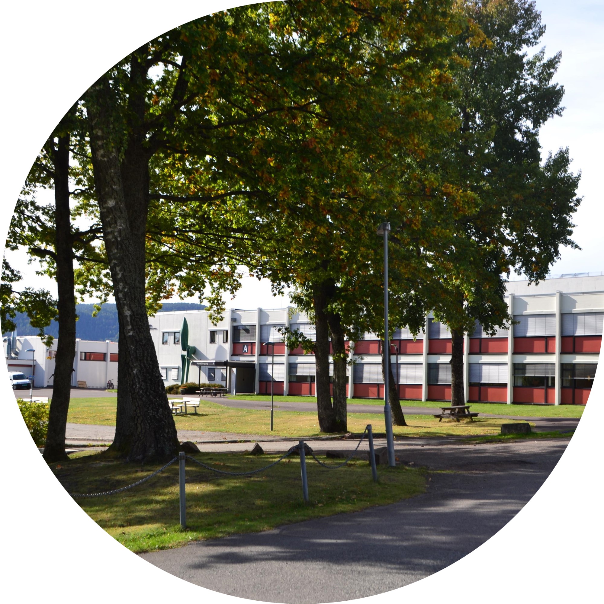 Bygningen Sande vgs med trær foran