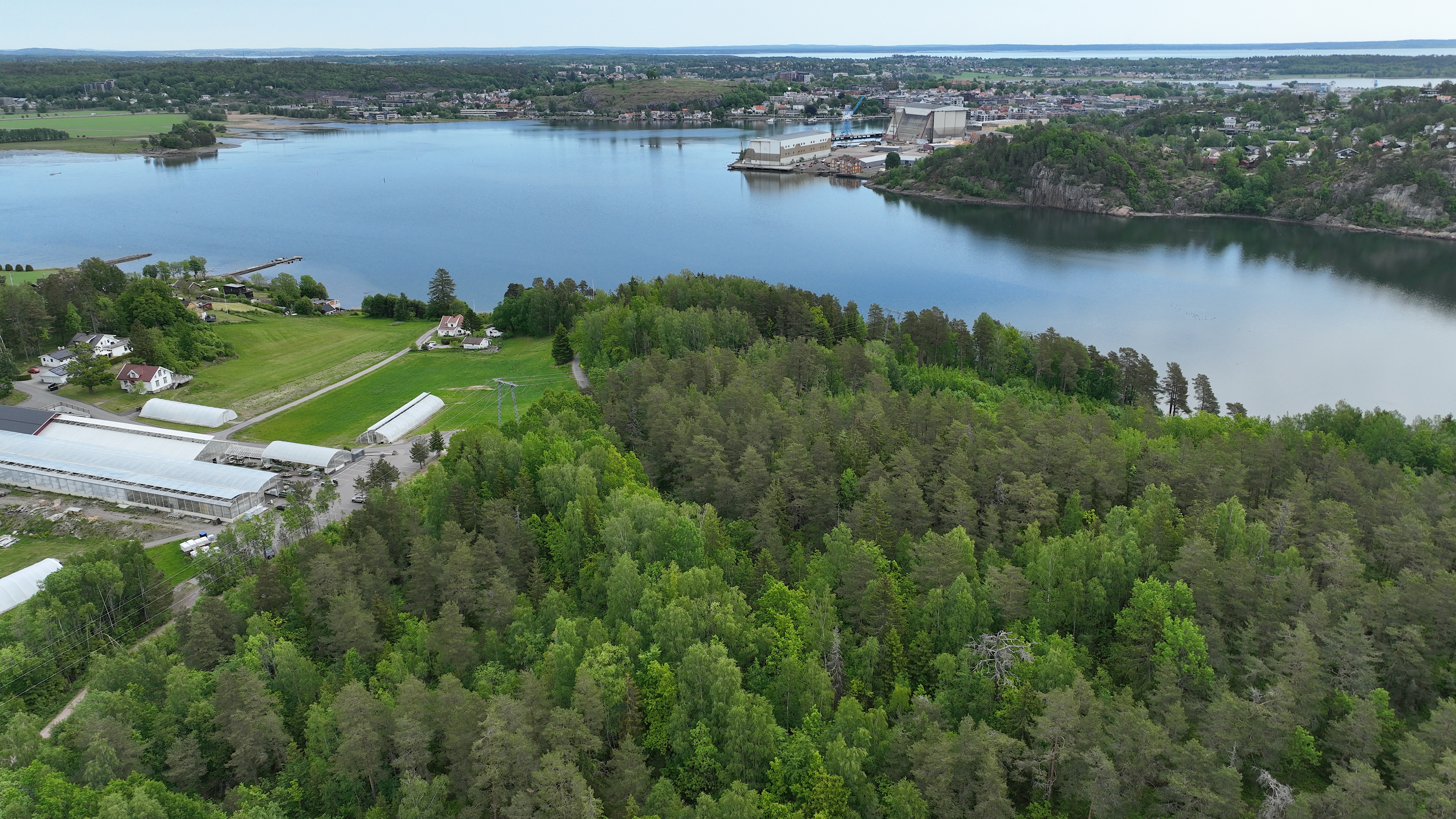 Dronebilde som viser skogområdet der anleggsveien skal etableres med Kaldnesområdet og Vestfjorden.