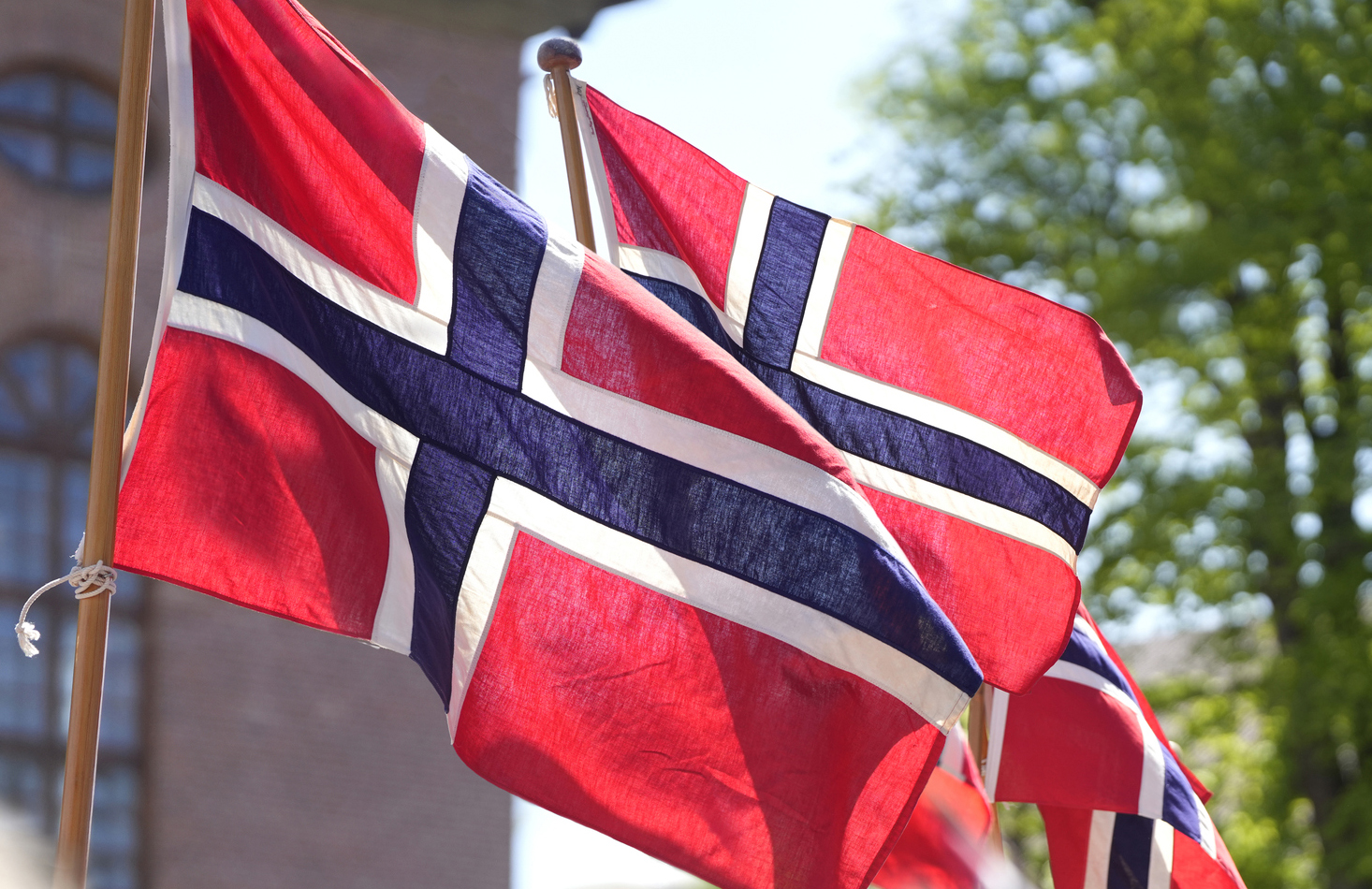 Norske flagg i vinden