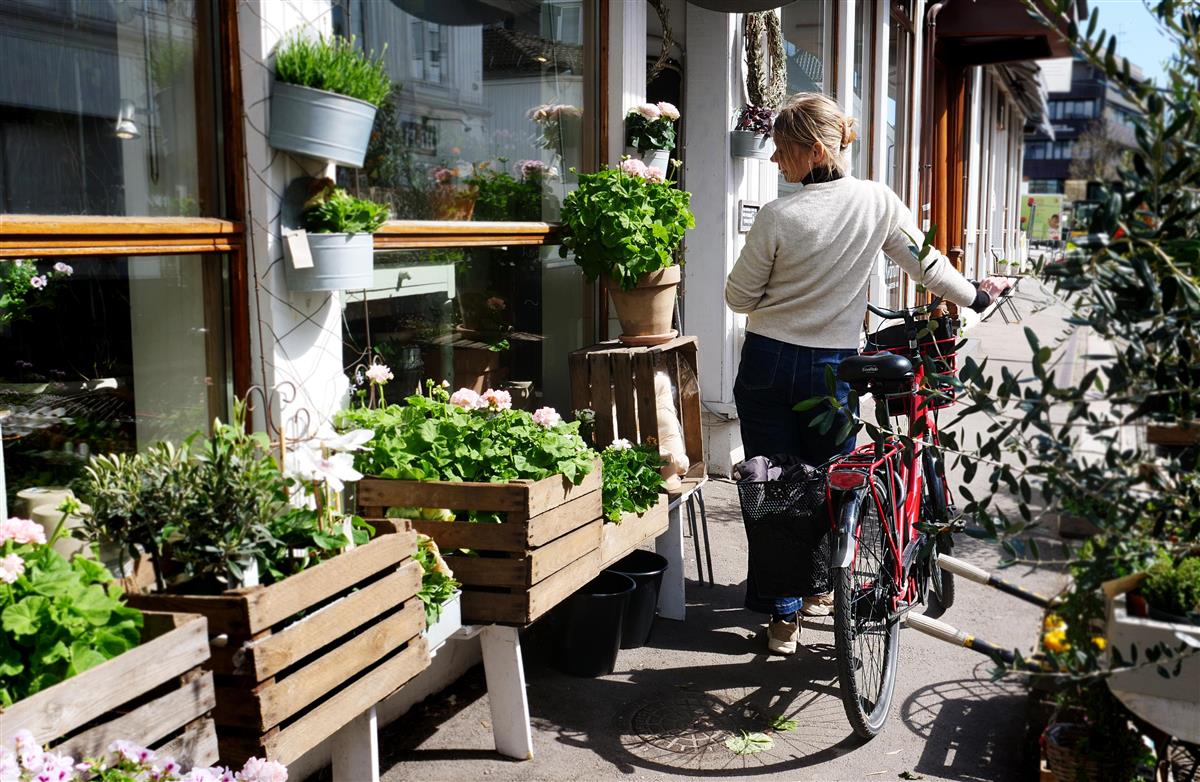 Person på sykkel i Storgaten i Tønsberg omkranset av planter og blomster