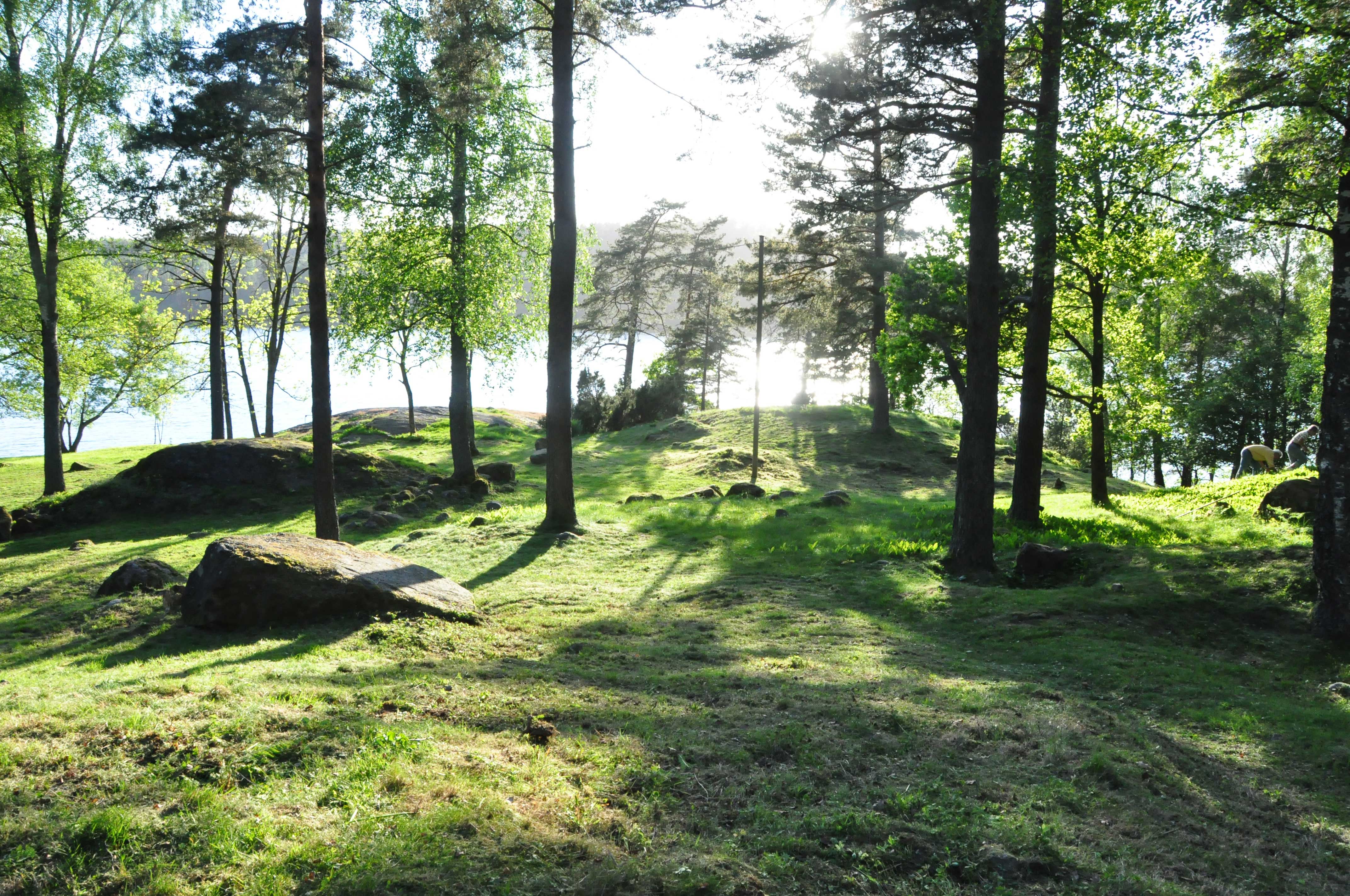 Gravfelt fra vikingtiden