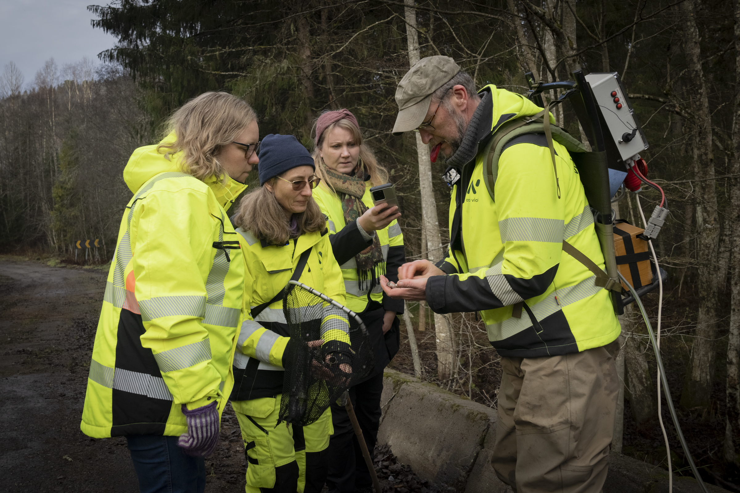 Helene Nødtved Røed og Kristina Ellwood fra Vestfold fylkeskommune var med Ingvild Grande og Ingar Aasestad fra Asplan Viak for å sjekke om fisketrappen ved Brufoss fungerer.