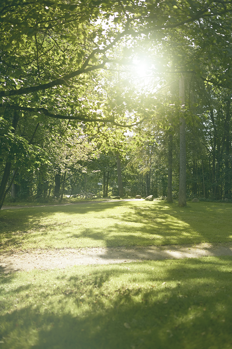 Greveskogen videregående skole