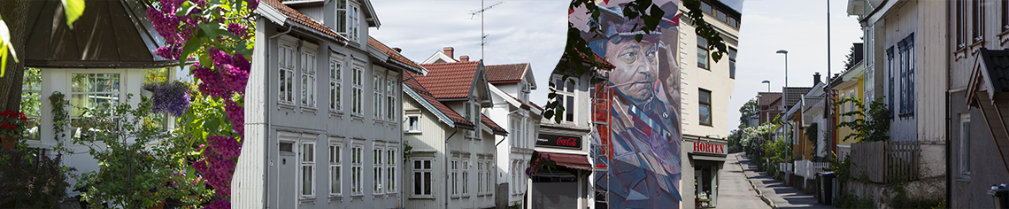 Kulturmiljøer i Horten